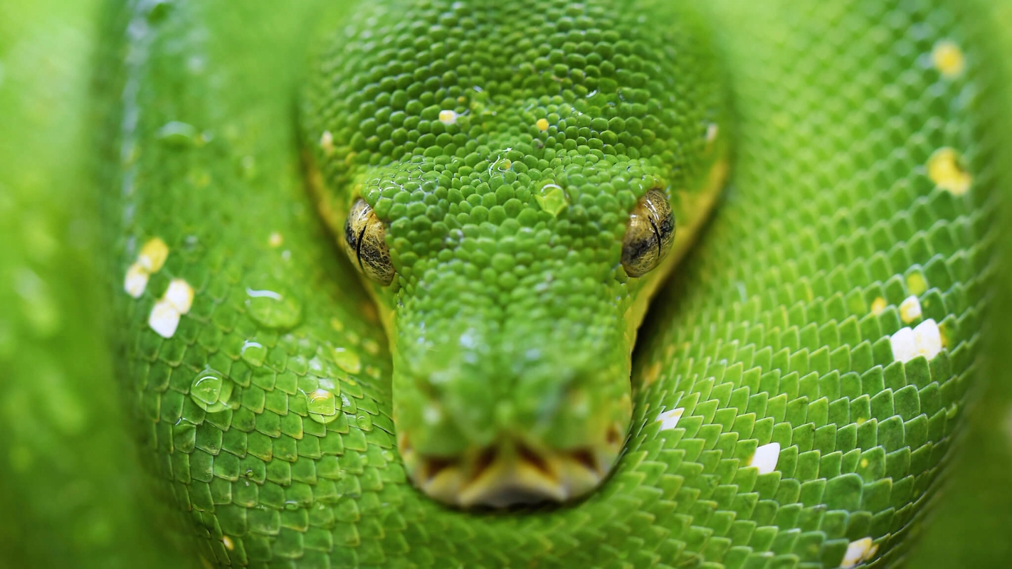 Søndagsteksten 1 Mos 3:8-15 (2018)