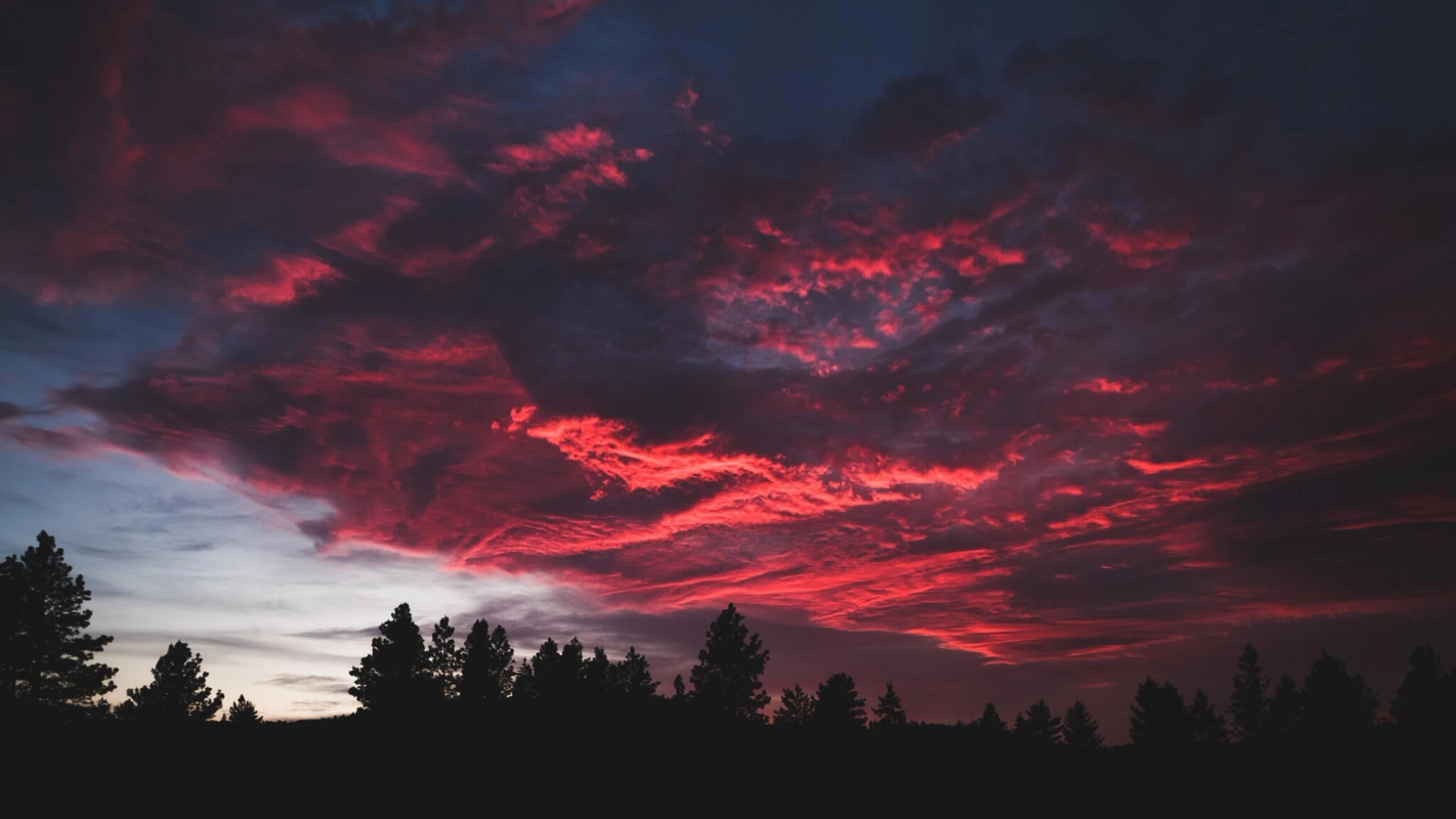 Kommer Jesus tilbake til jorden en dag?