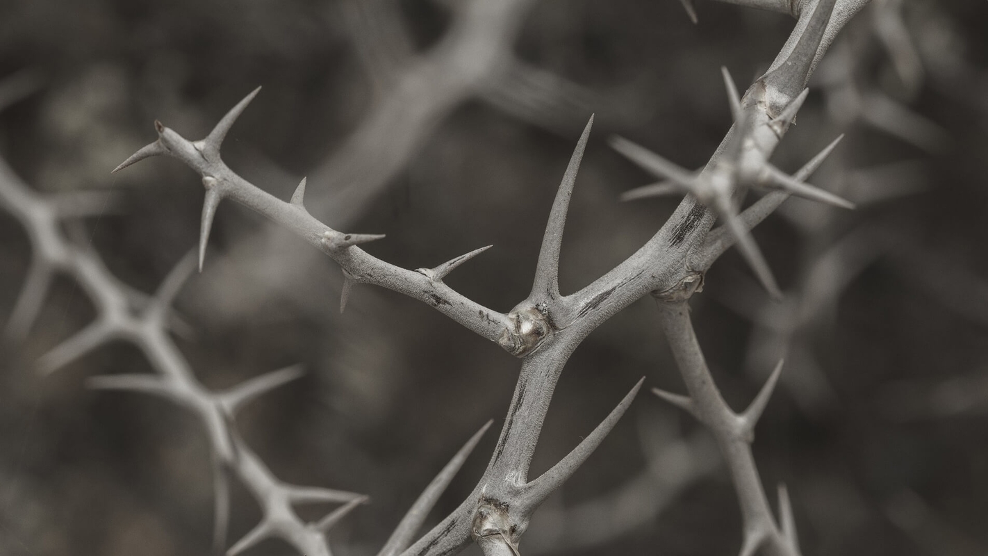 Dag 27 - Vi var også med