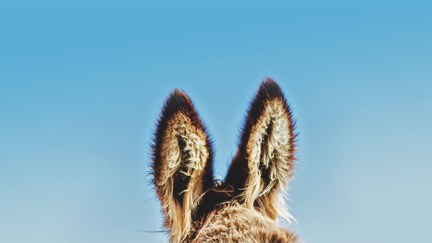 Tid for Kristi herliggjørelse