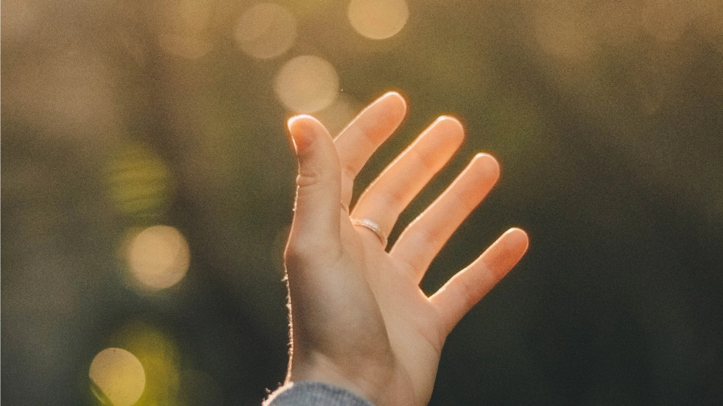 Noomis tilflukt sviktet ikke 5/5