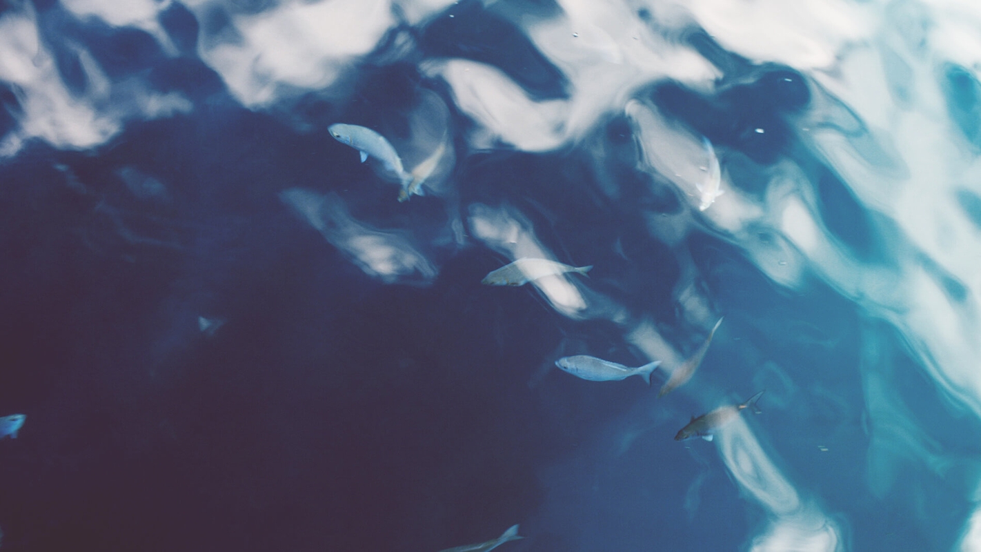 Gå bort frå meg, Herre!