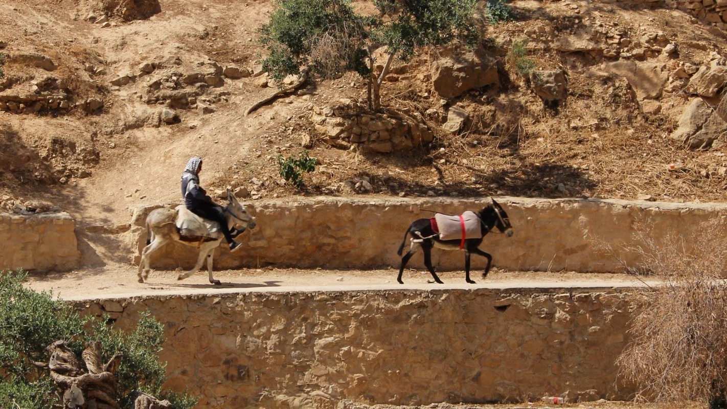 Søndagsteksten Matt 21:1-11 (2019)