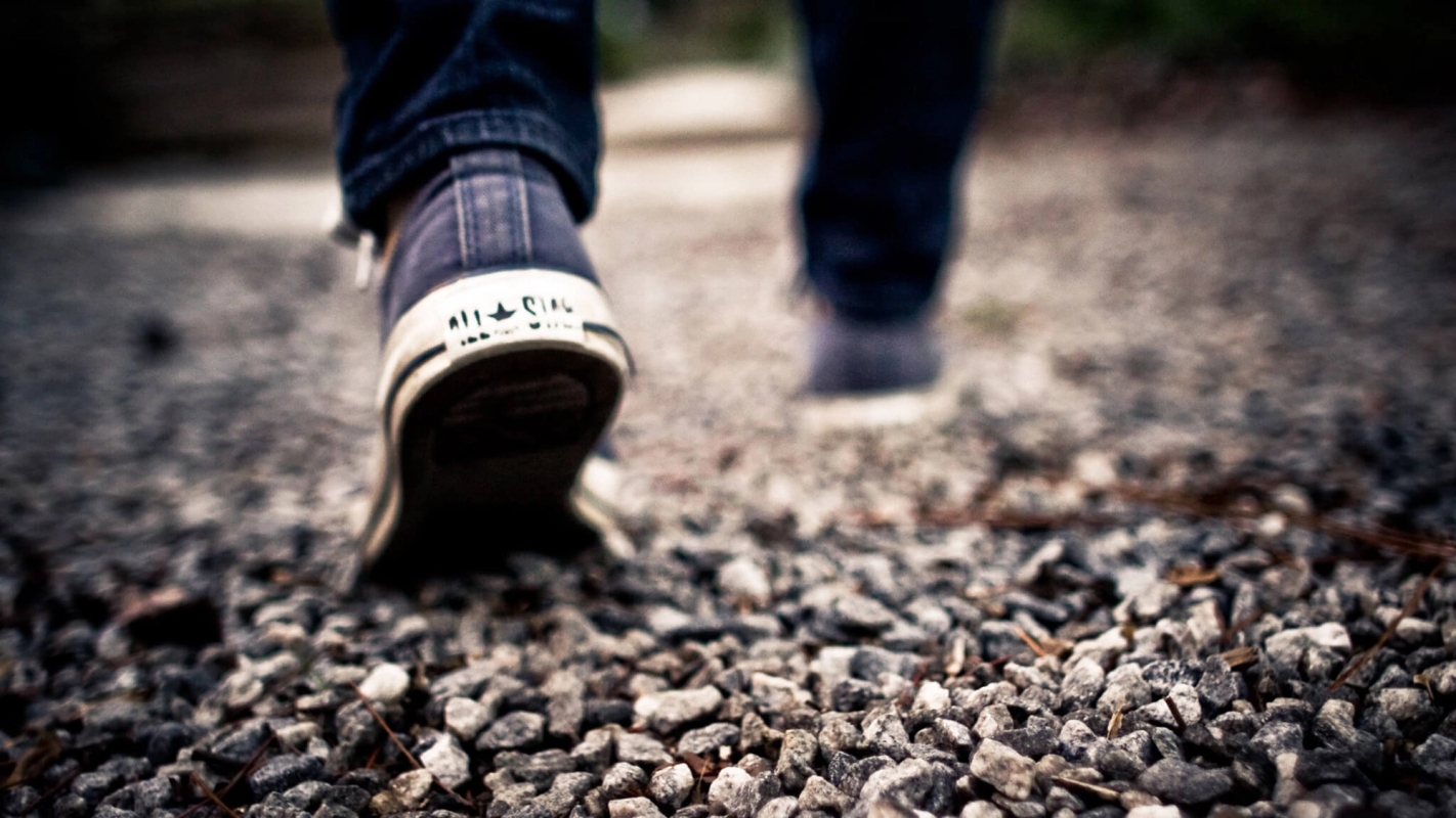 Lyst, lykke, begjær og vilje