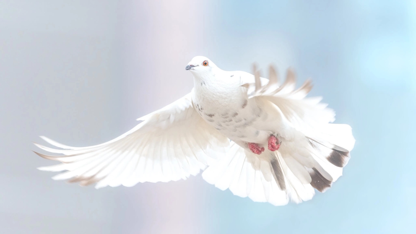 Døperen og Jesu dåp