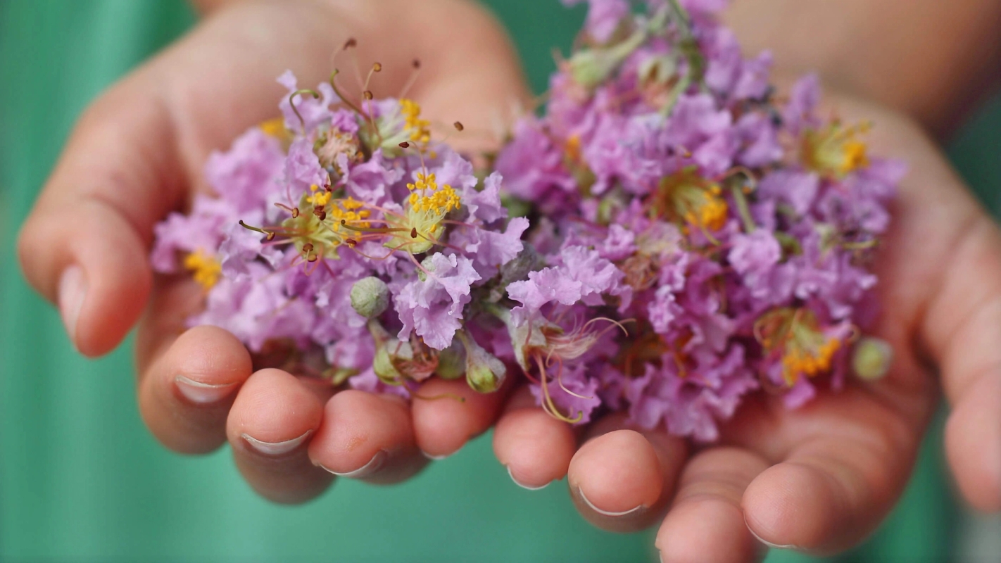 Jesus møter Sakkeus 5 – Nytt liv