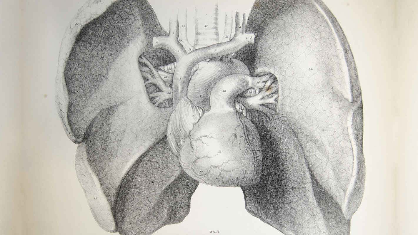 Gudgitt enhet og gudgitt kjærlighet