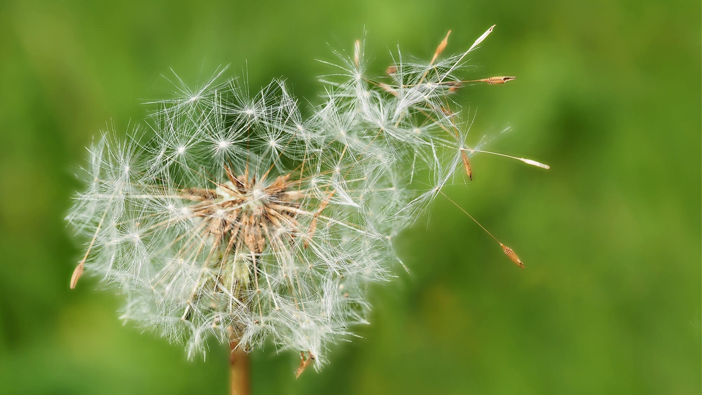 Gammel mann, men født på ny