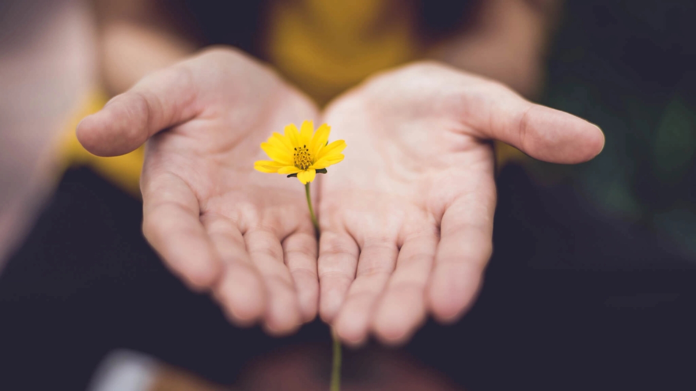 Boktips: Gentle and Lowly