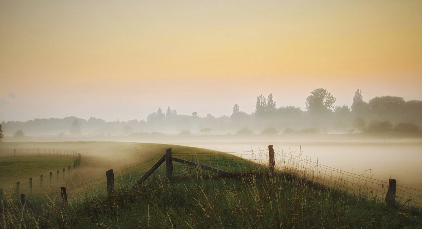 Livet etter oppstoda