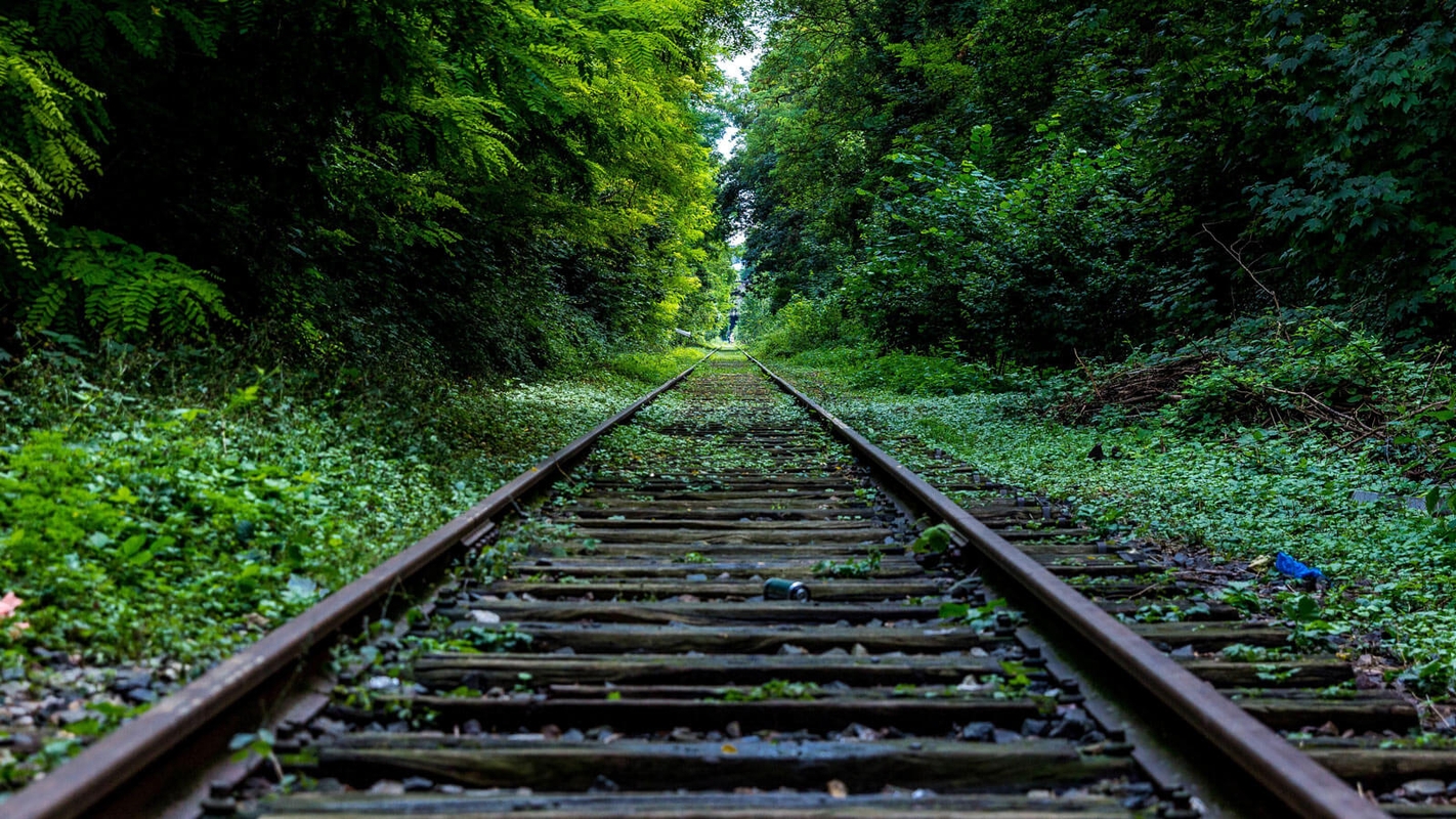 “Kirken og bekjennelsen” – Formalitet eller fundament?