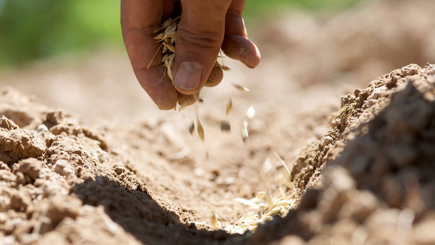 Søndagsteksten Luk 8:4-15