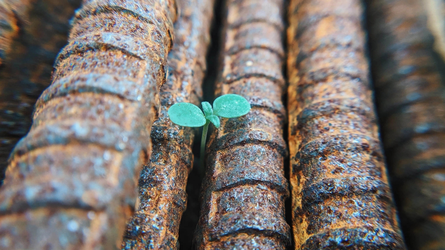 Et budskap om håp midt i kaoset