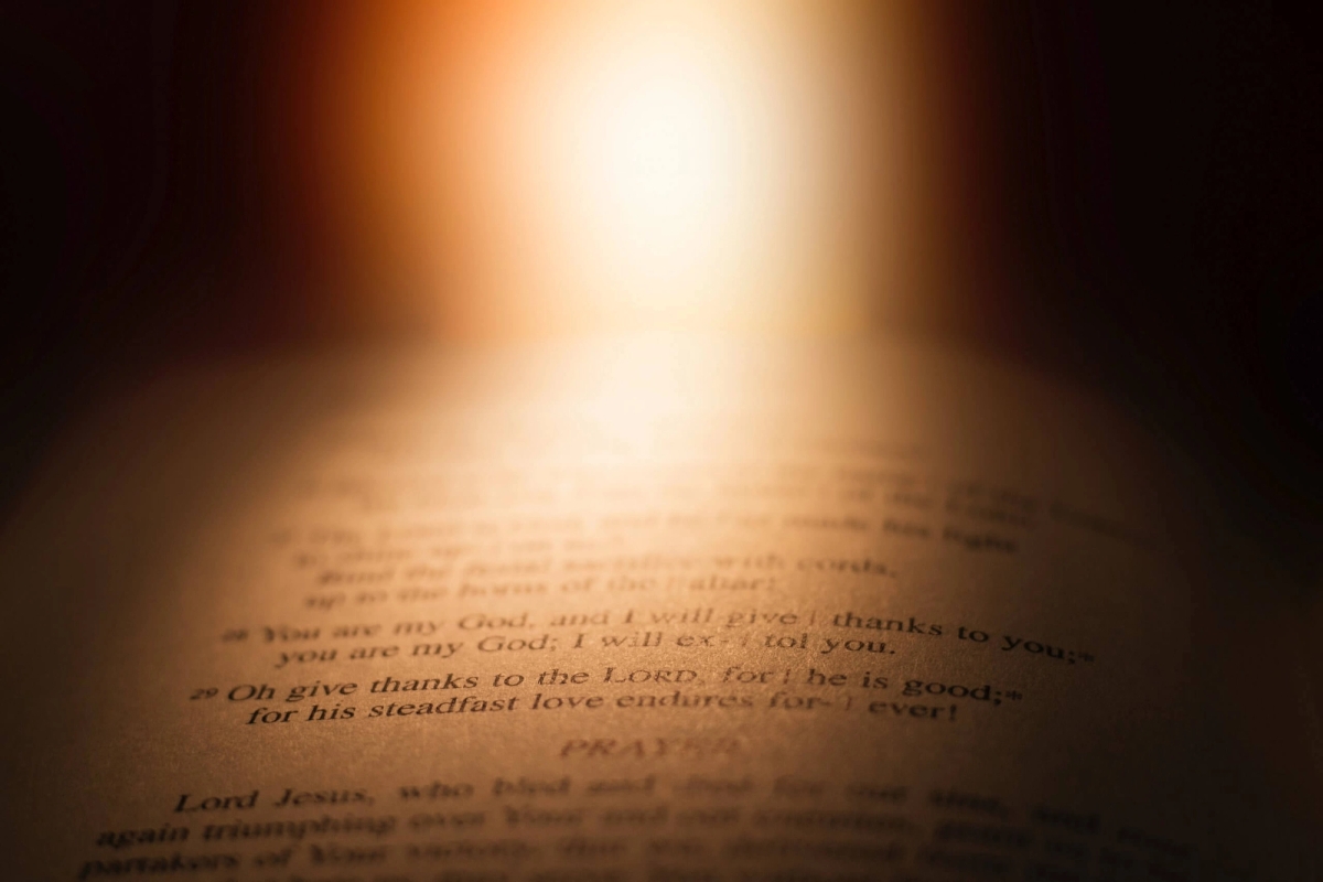 En overraskende oppstandelse