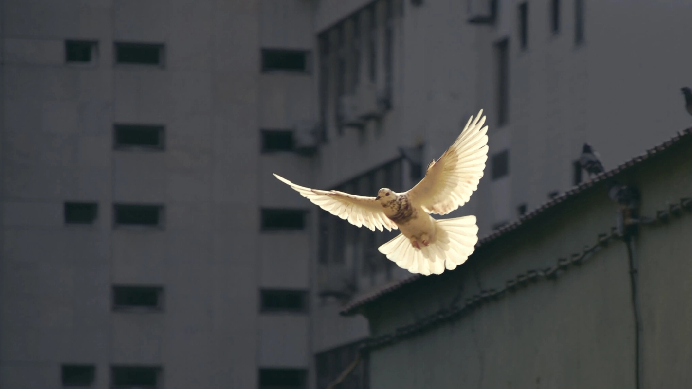 Den Hellige Ånds gjerning (Den Hellige Ånd 1/12)
