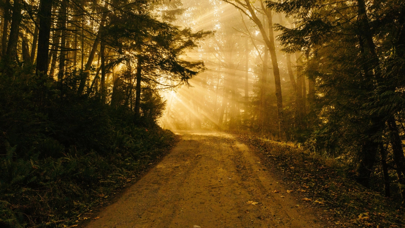 Søndagsteksten Joh 14:1-4 (2022)