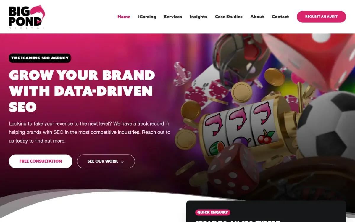 Big Pond Digital homepage screenshot captured in October 2026