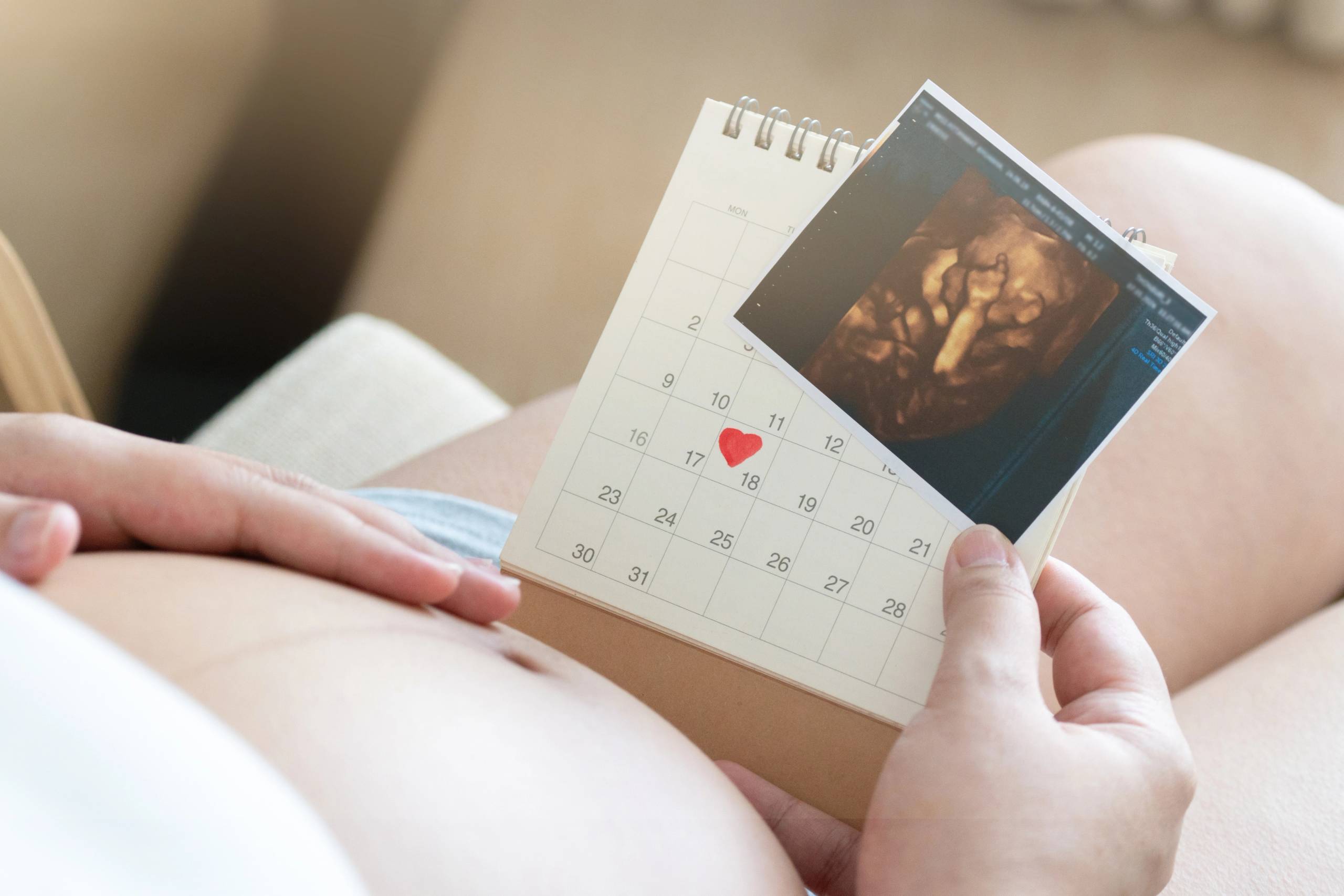 Pregnant woman holding a calendar and an ultrasound image, highlighting pregnancy milestones and baby development.