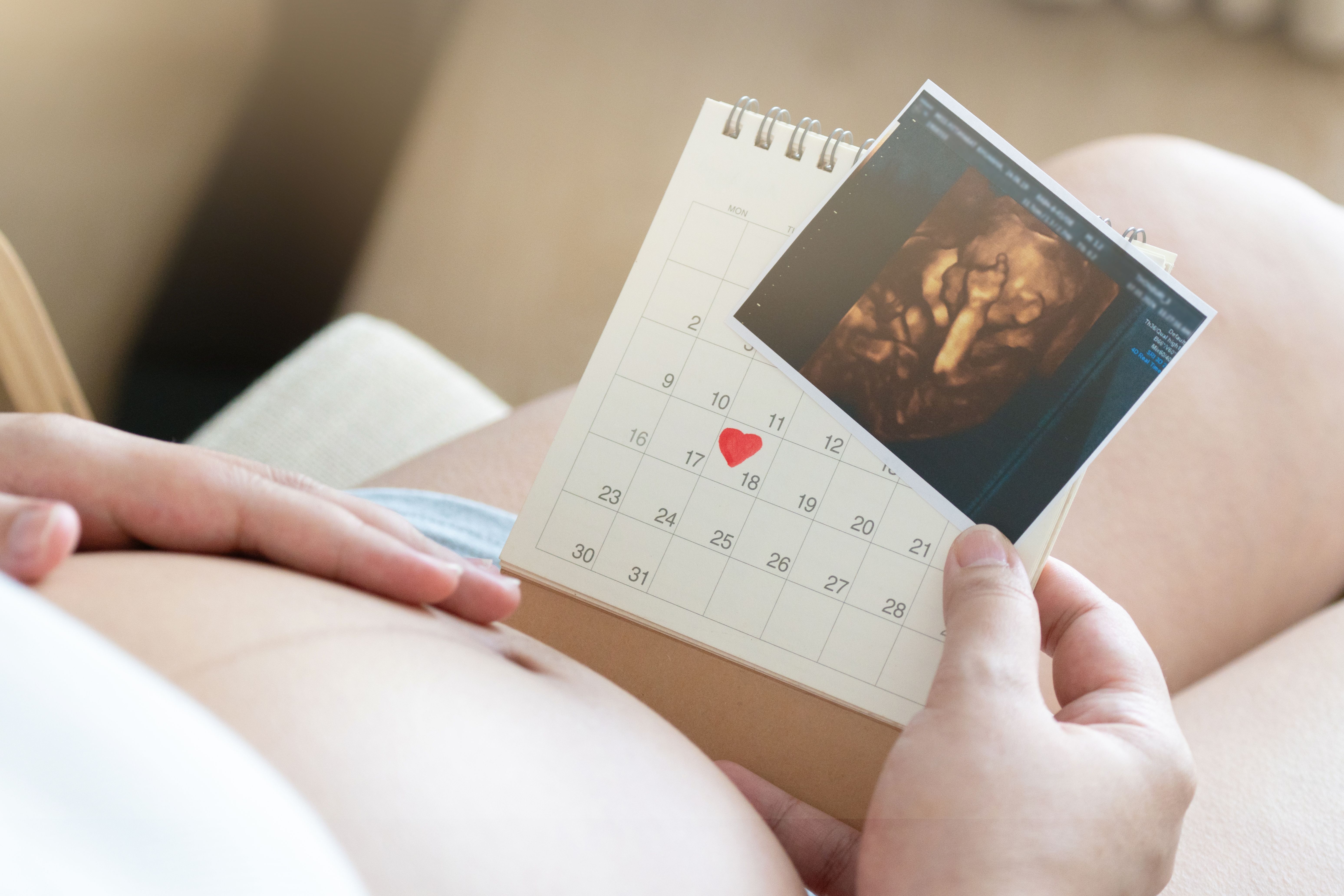 Pregnant woman holding a calendar and an ultrasound image, highlighting pregnancy milestones and baby development.