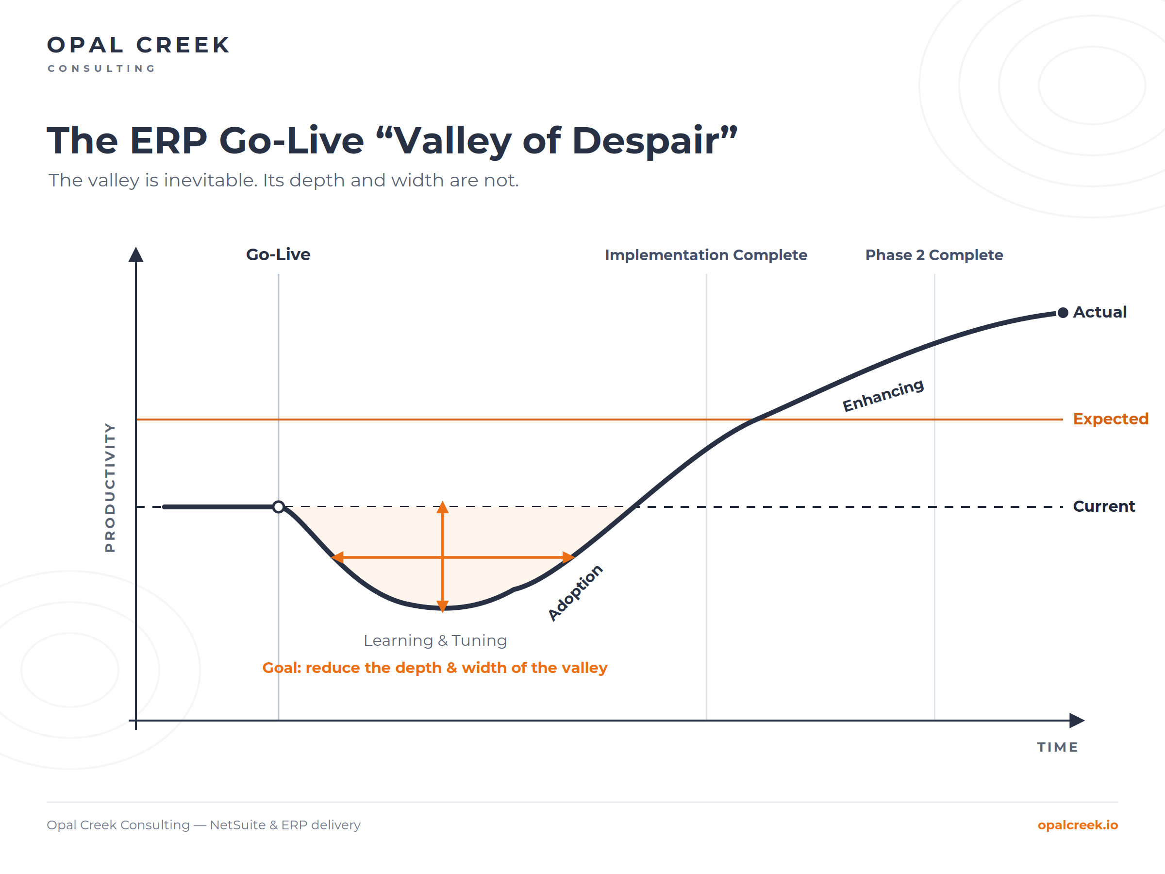 The ERP Go-Live "Valley of Despair"