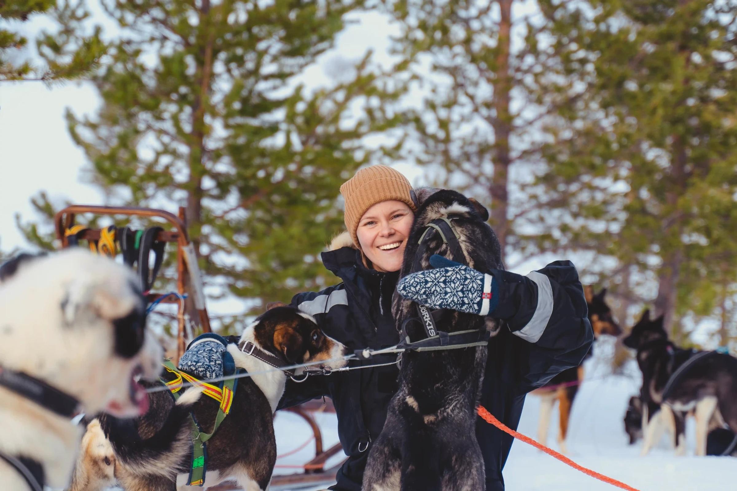 Nyt en guidet sledetur gjennom arktiske landskap.