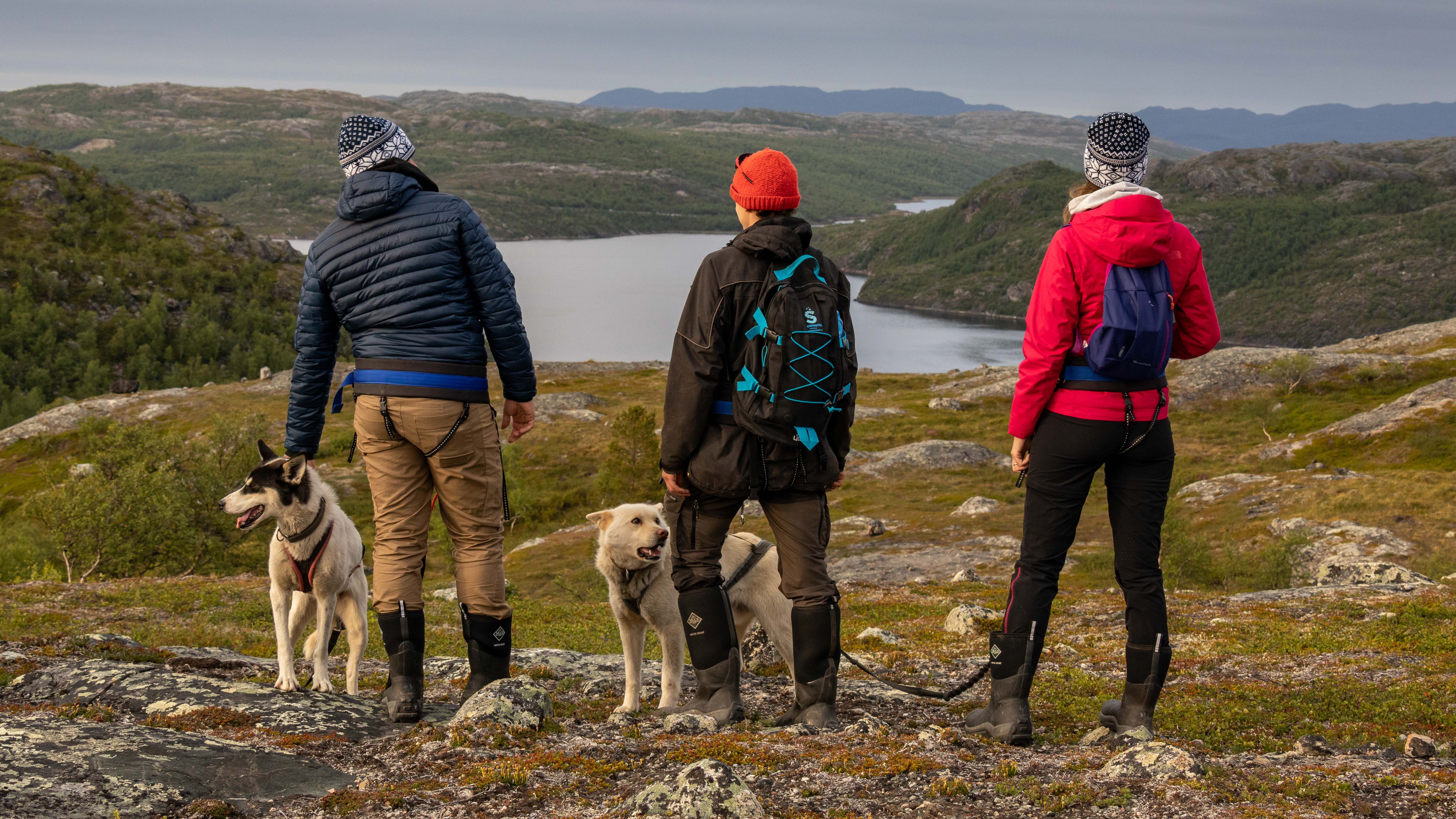 Transport, fjelltur med husky og Snowhotel 365