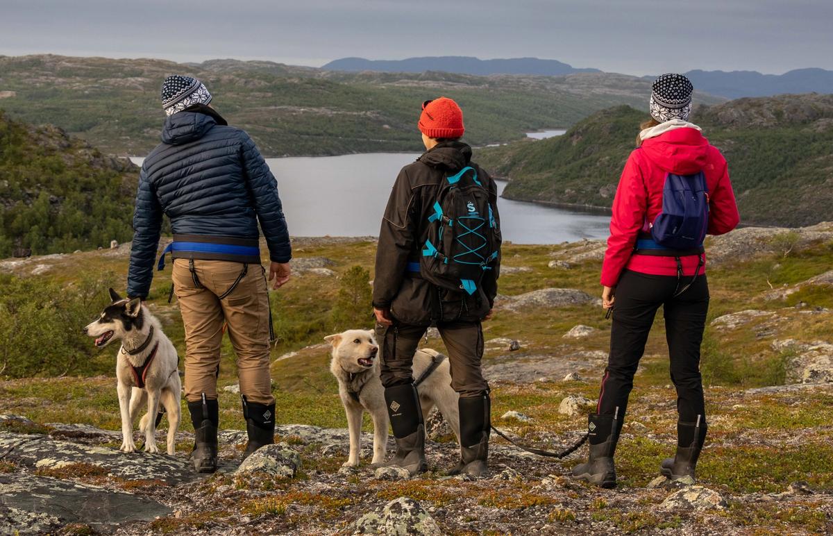 Transport, fjelltur med husky og Snowhotel 365