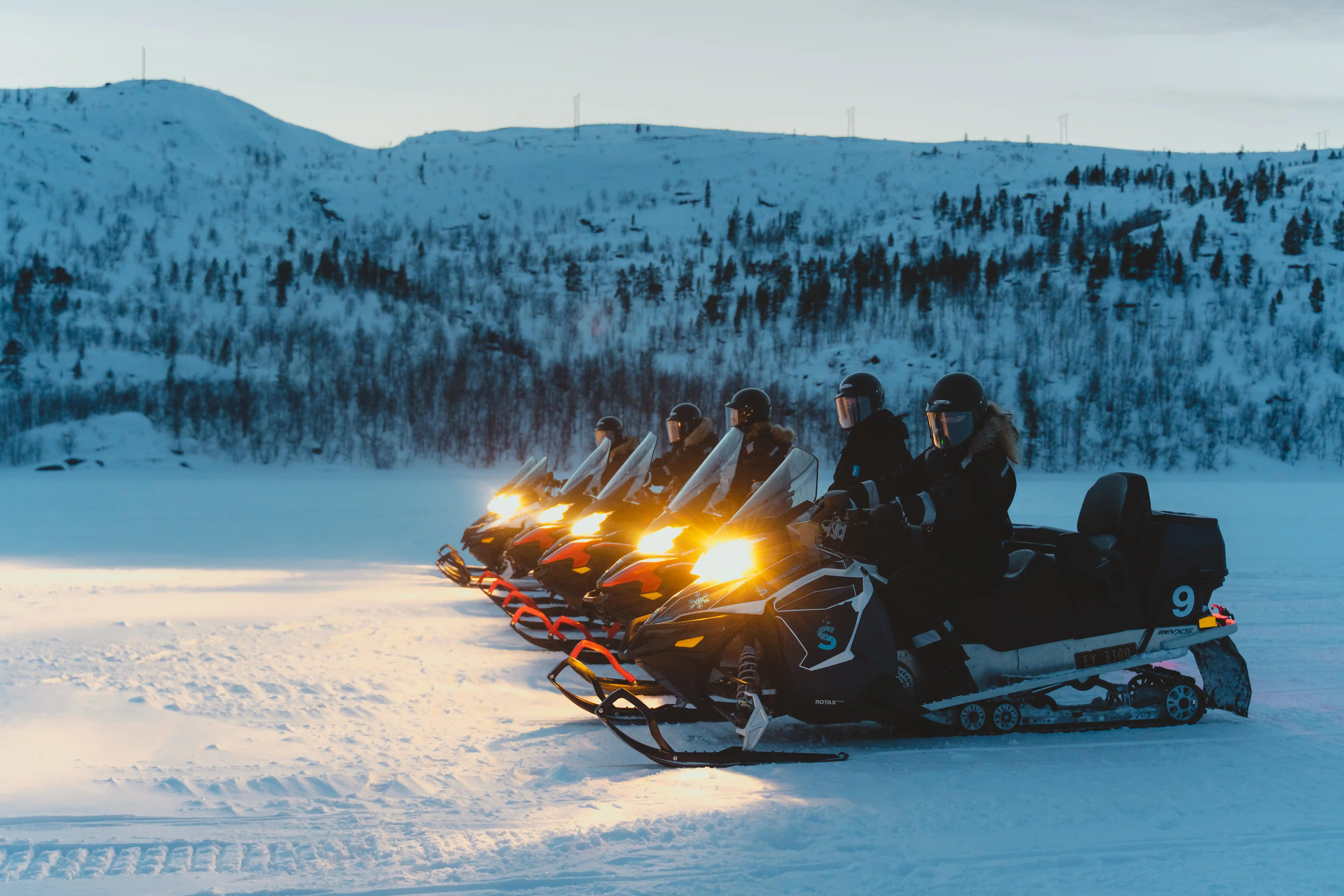 Kongekrabbe, husky, nordlys og overnatting i gamme
