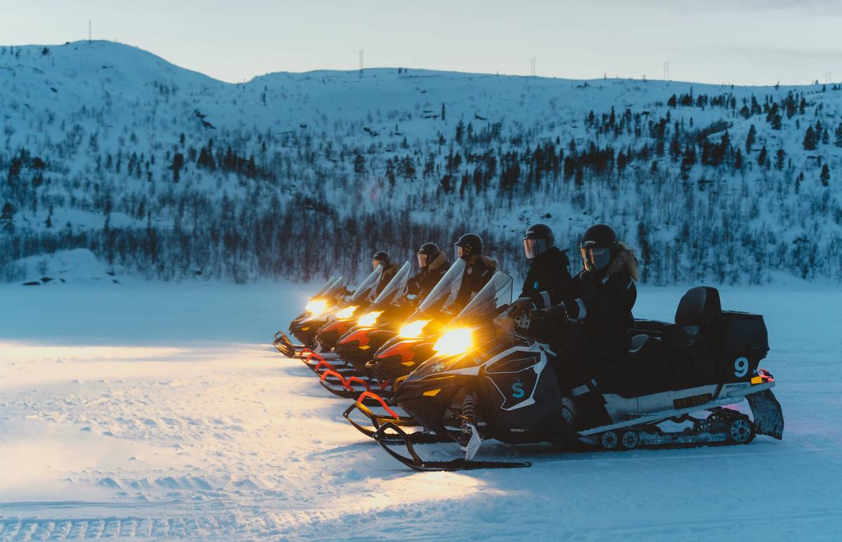 Kongekrabbe, husky, nordlys og overnatting i gamme