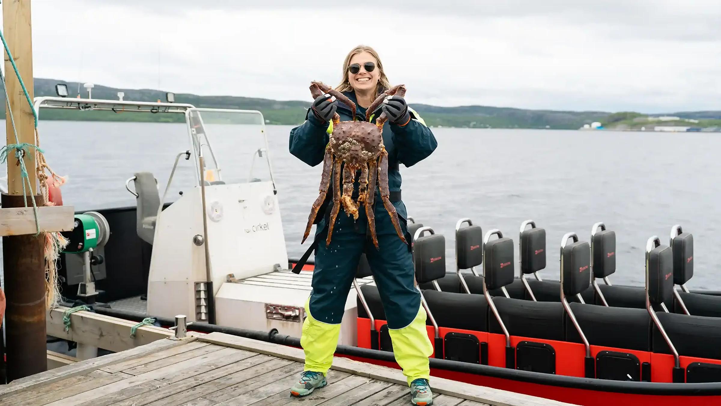 Kongekrabbe på sommeren i Kirkenes