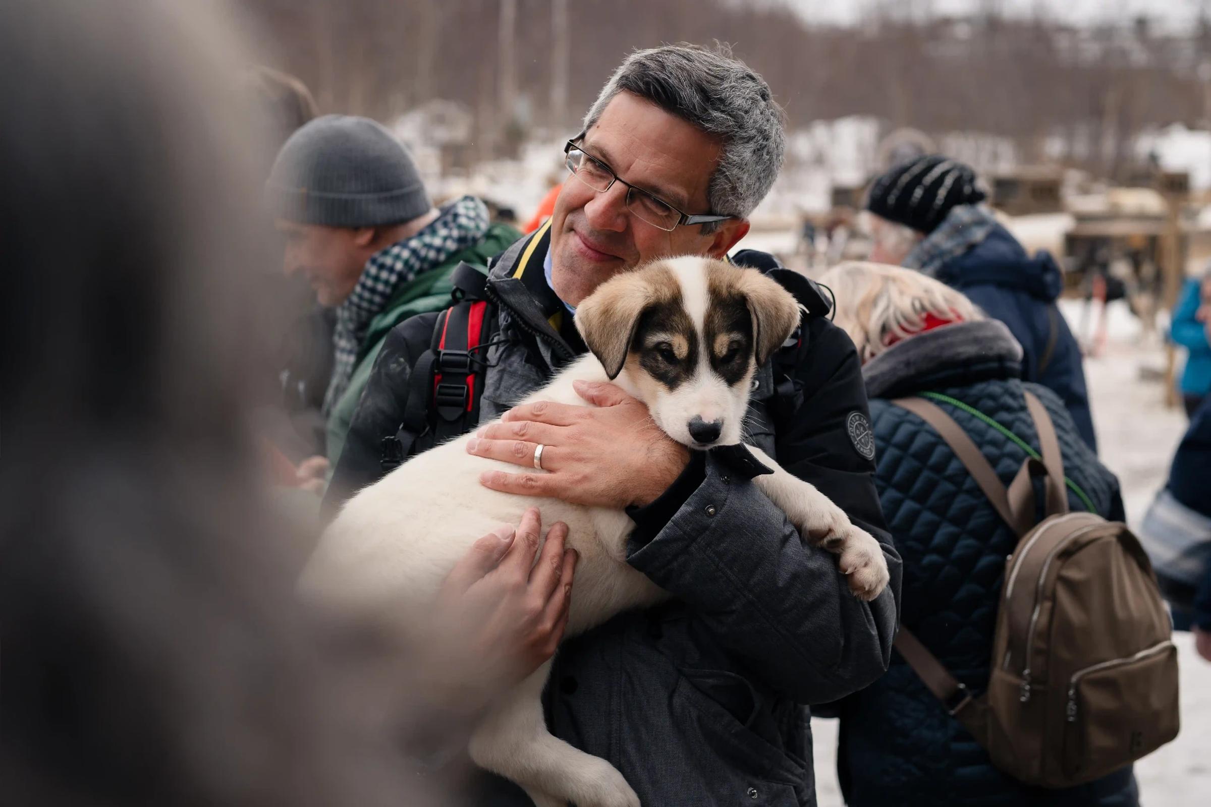 Hundekjøring med huskyer på vinteren i Kirkenes