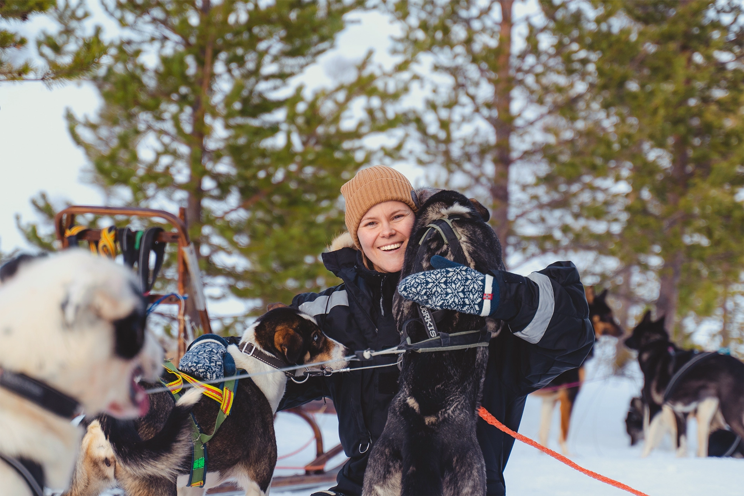 Stell, trening og velferd