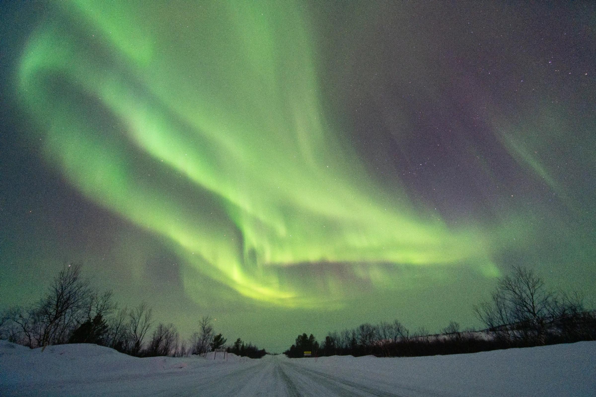 Nordlys, photo 6