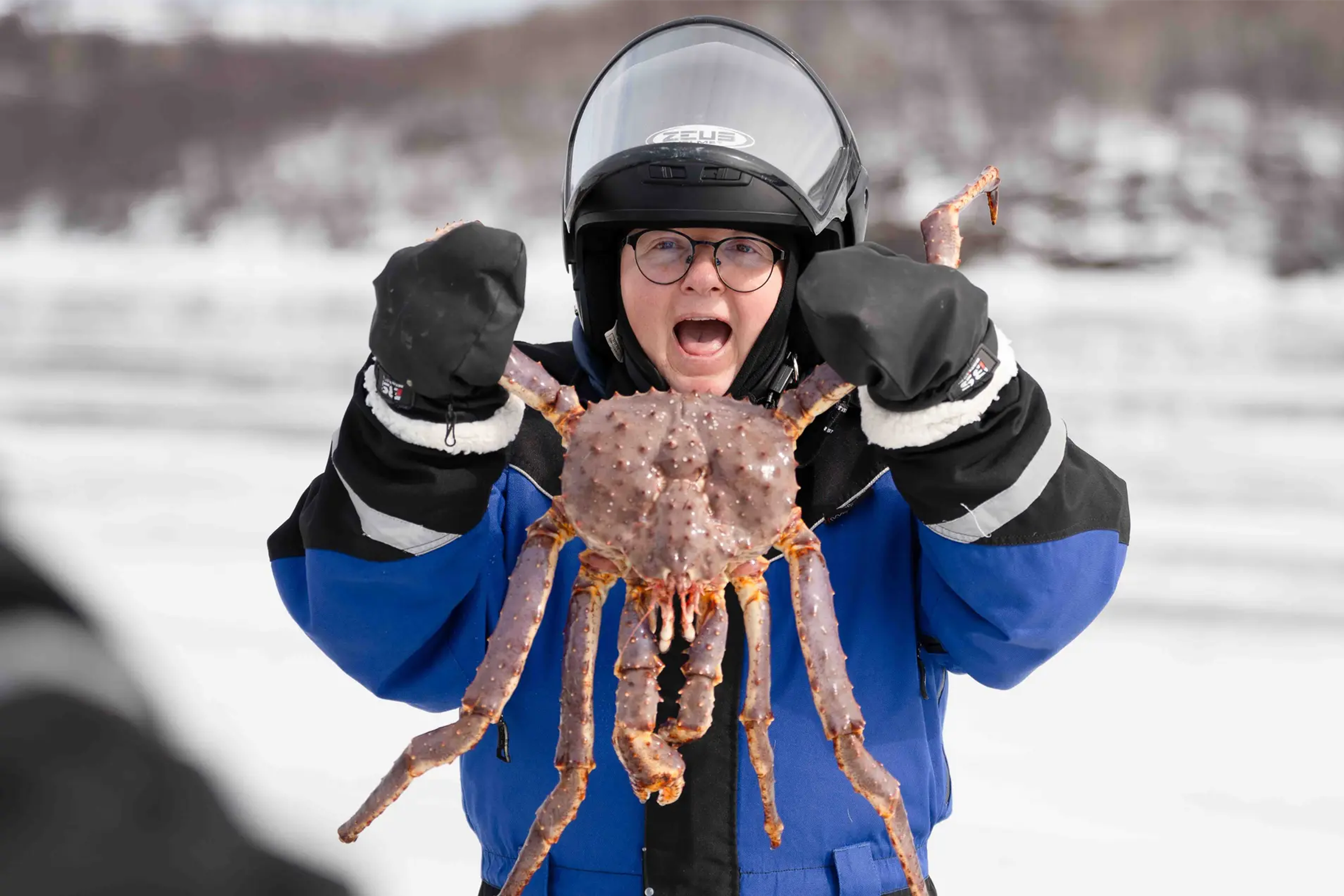 Kongekrabbe på vinteren i Kirkenes