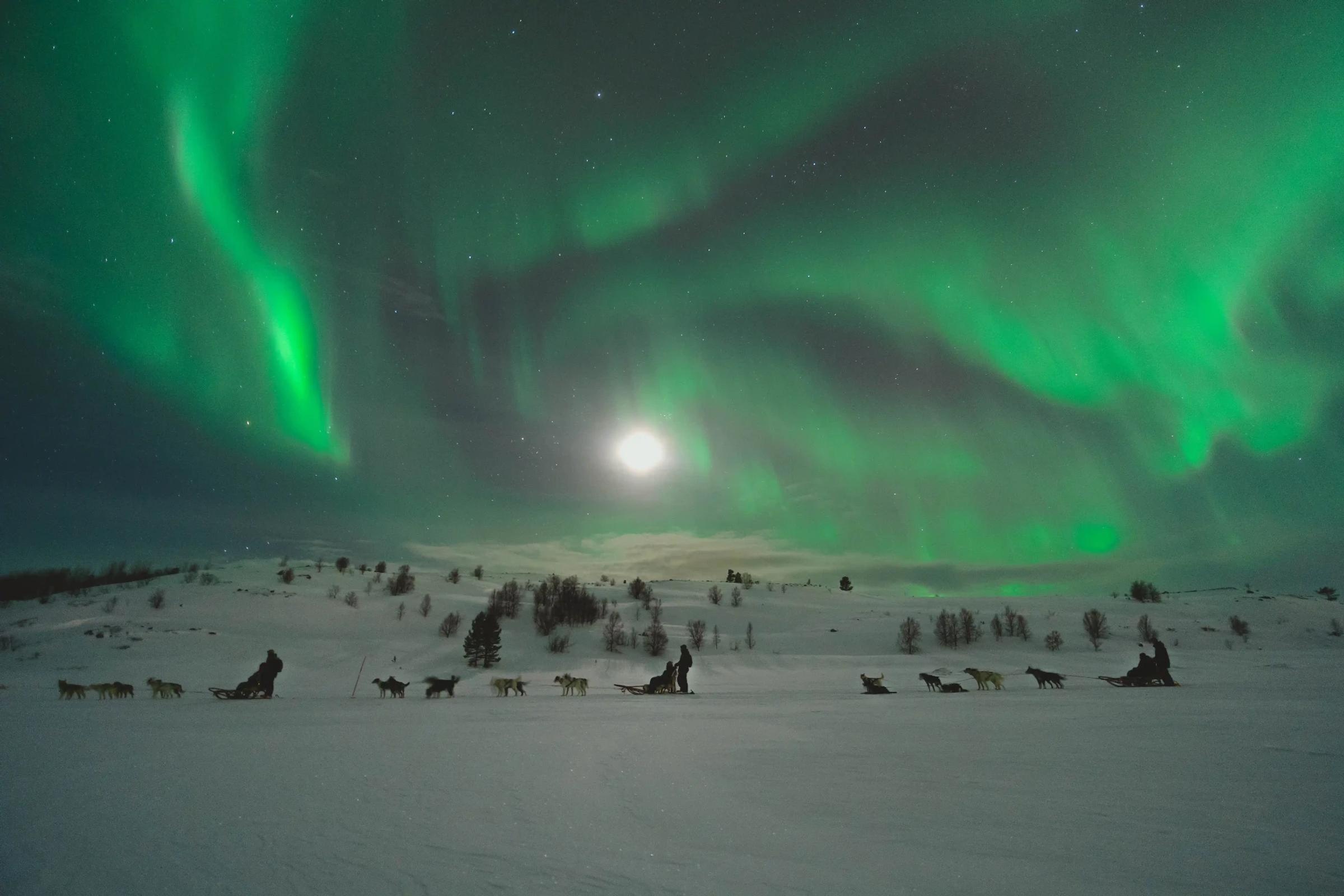 Nordlys, photo 4