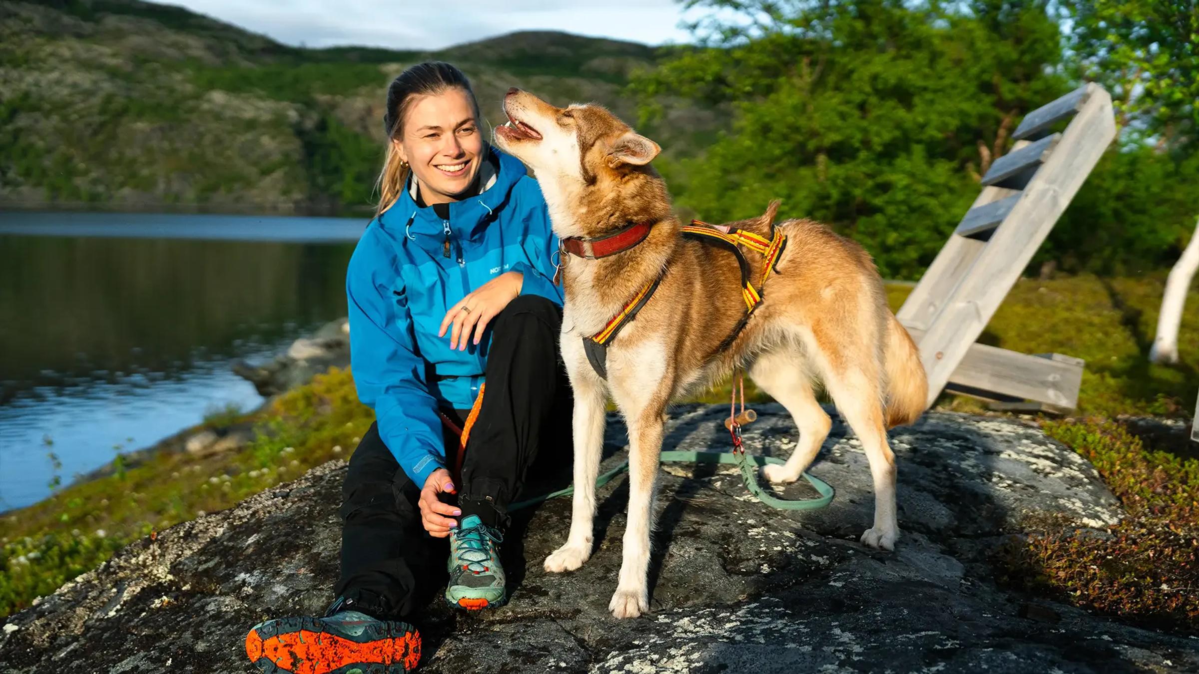 Huskyer på sommeren i Kirkenes