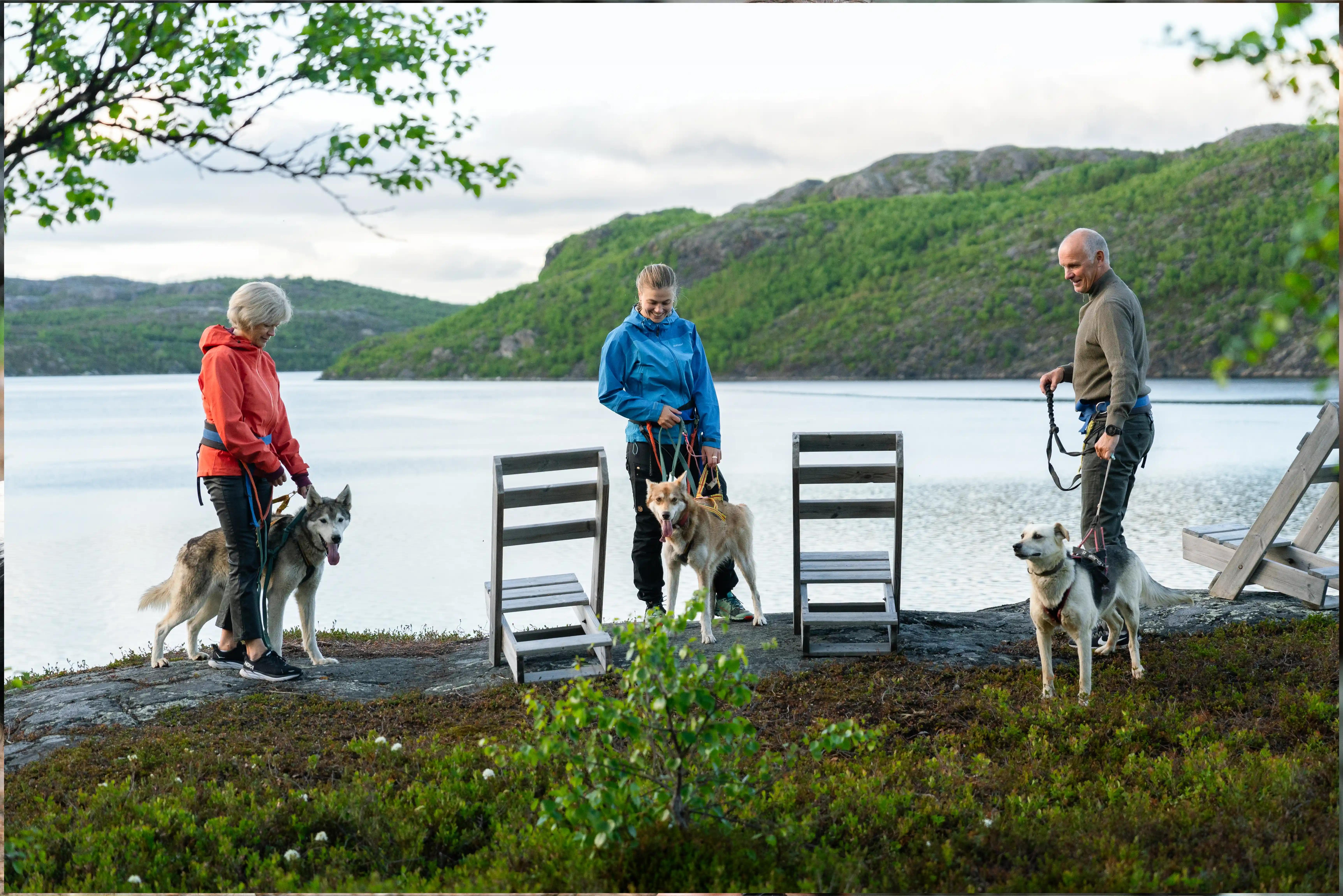 Fjelltur med husky og overnatting i gammehytte