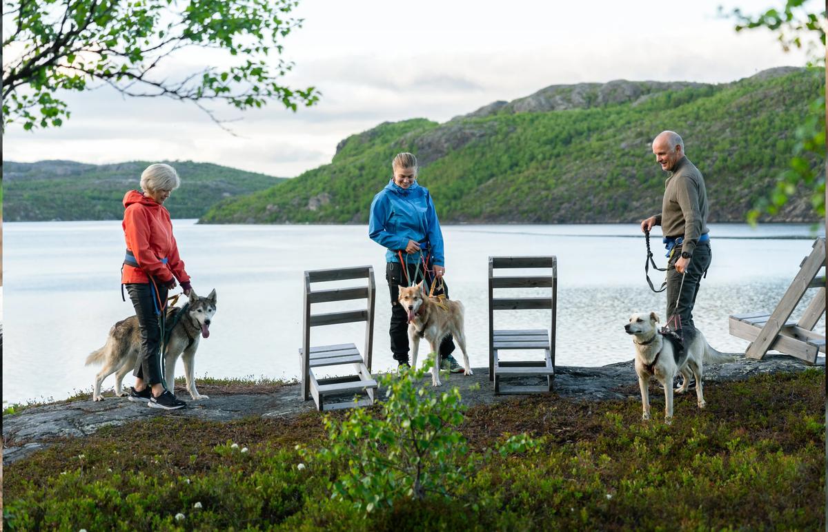 Fjelltur med husky og overnatting i gammehytte