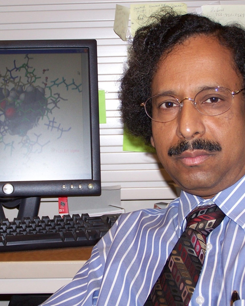 Prof. Bimal Krishna Banik