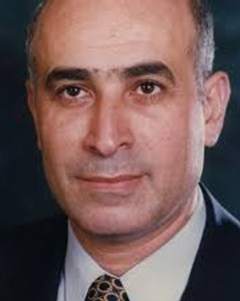 Prof Galal Elgemeie 