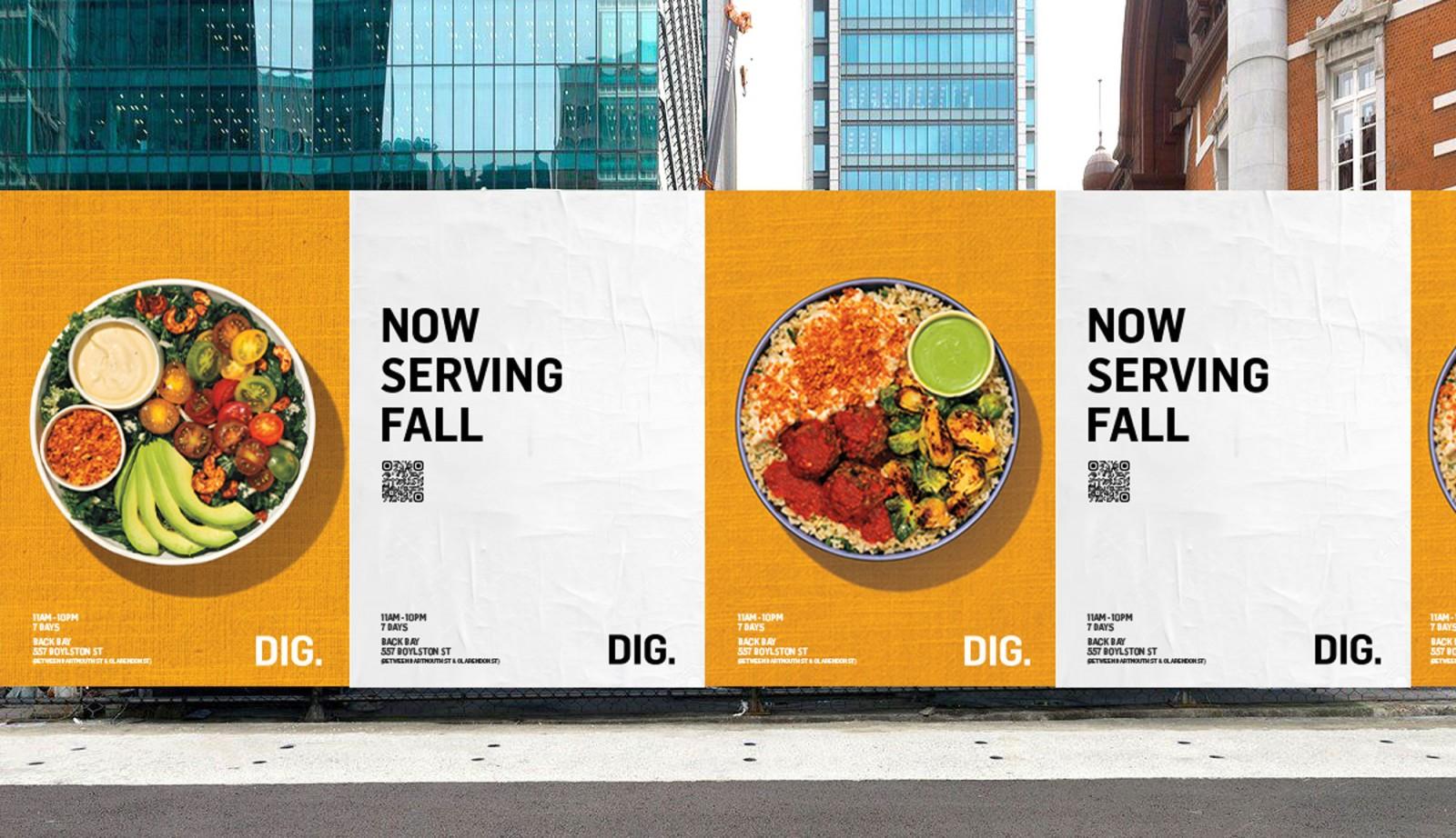 DIG gallery image