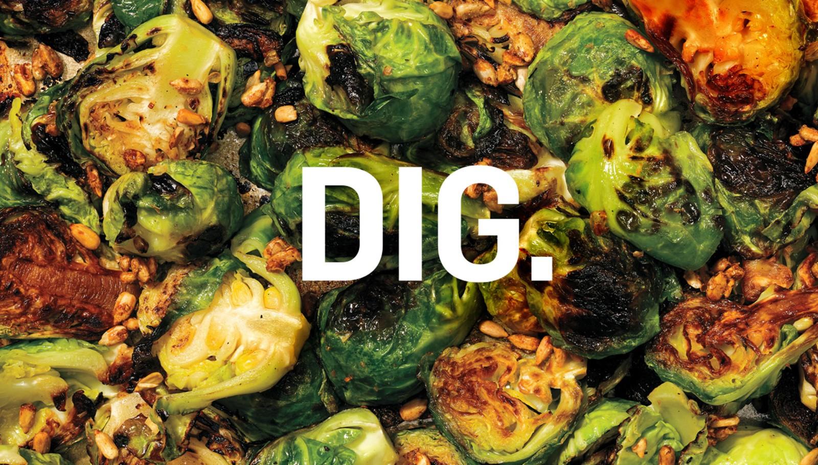 DIG gallery image
