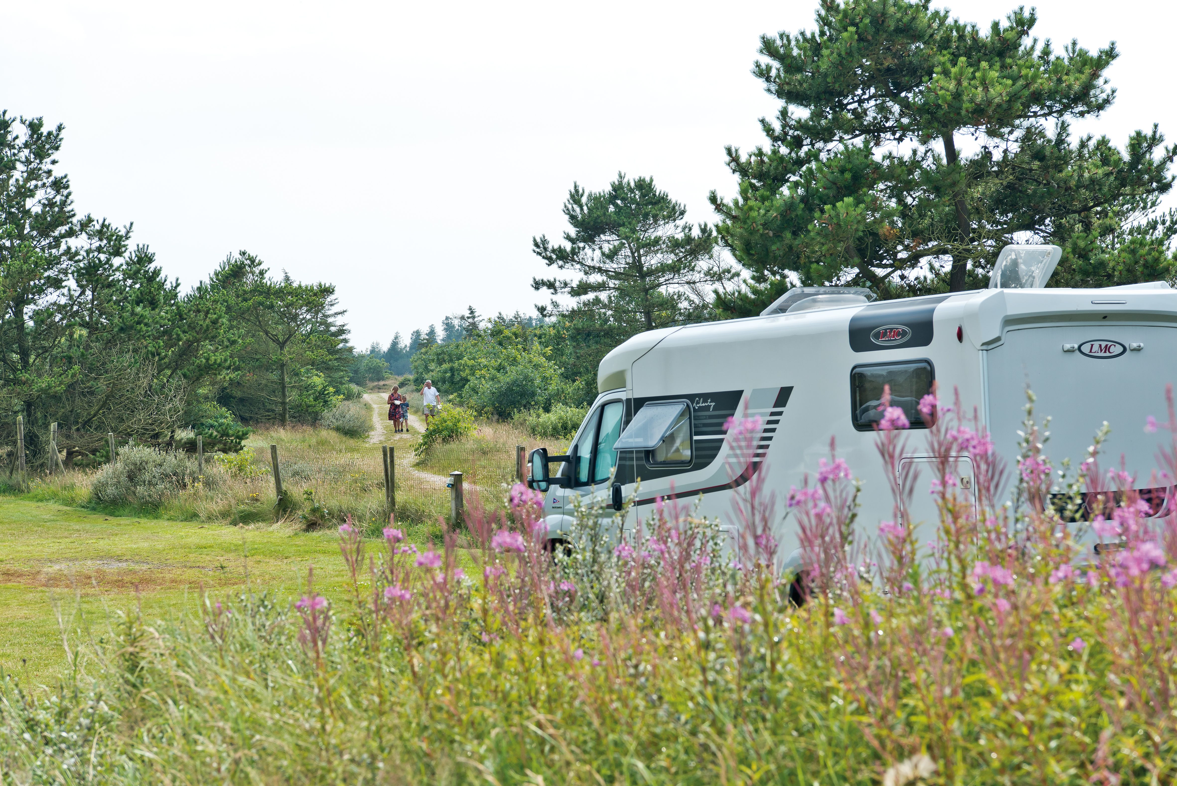 en bobil står parkert i et blomsterfelt