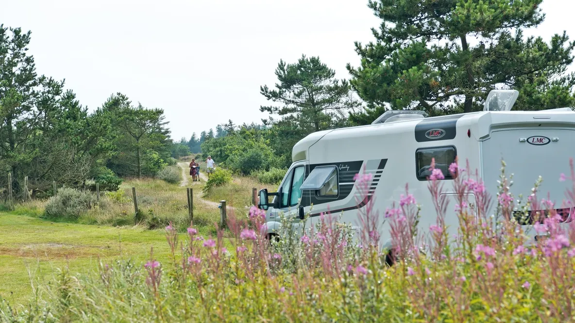 en bobil står parkert i et blomsterfelt