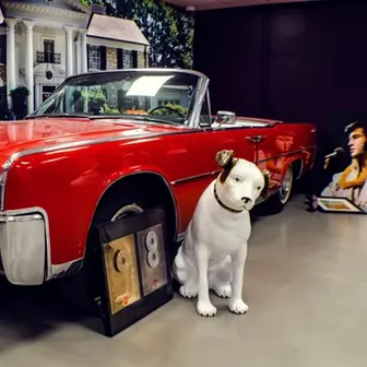 Temacruise: Elvis-cruise