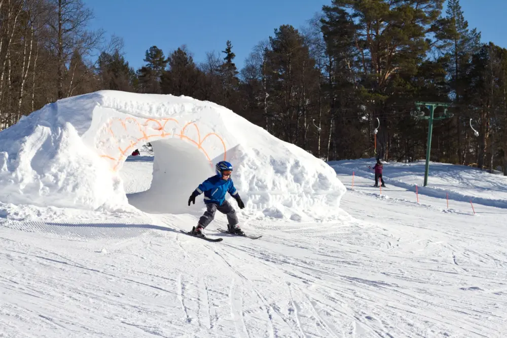 Barn på ski