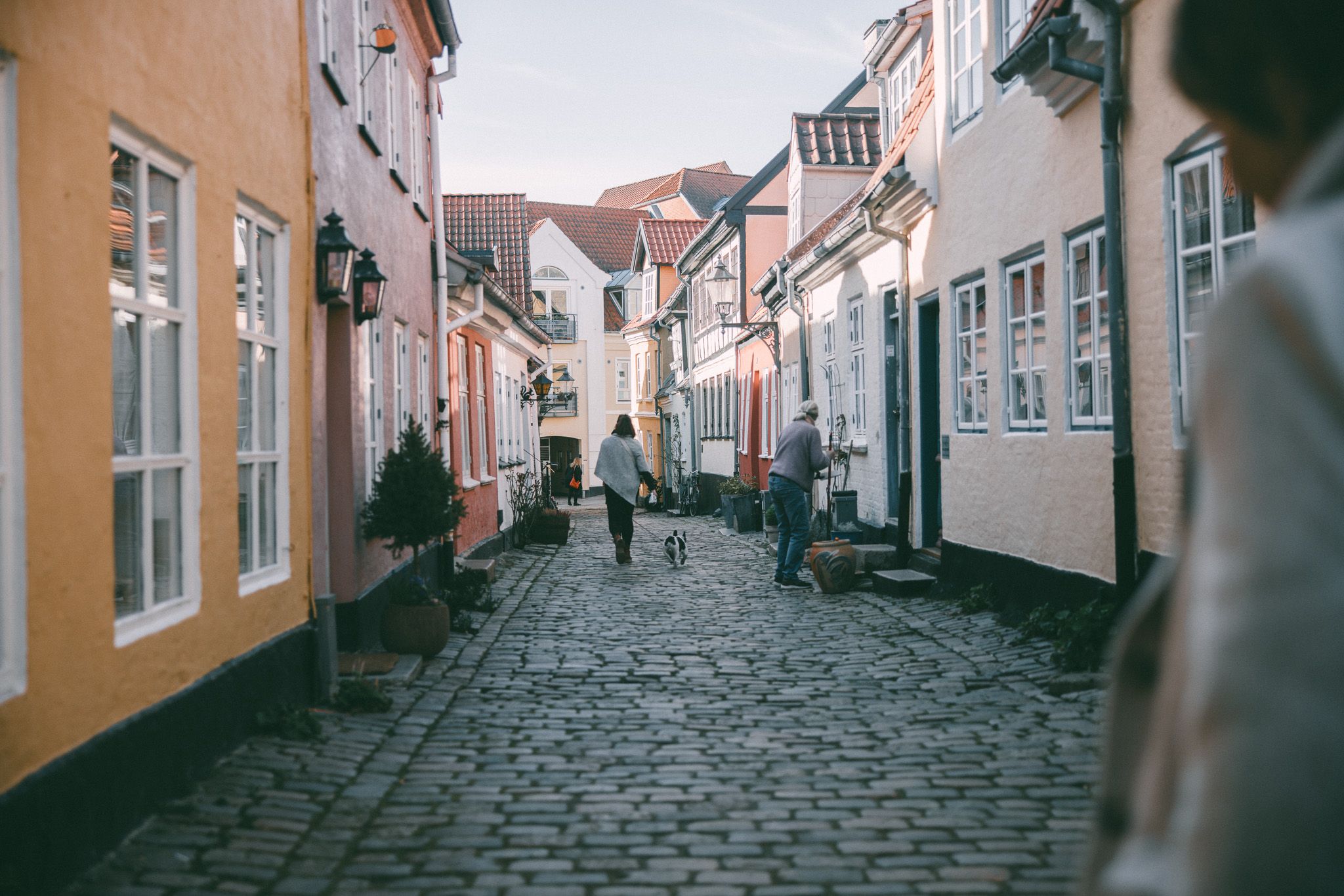 Gate med brosteiner.