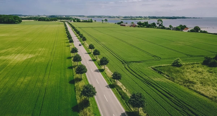 Bilvei med grøntområder rundt.