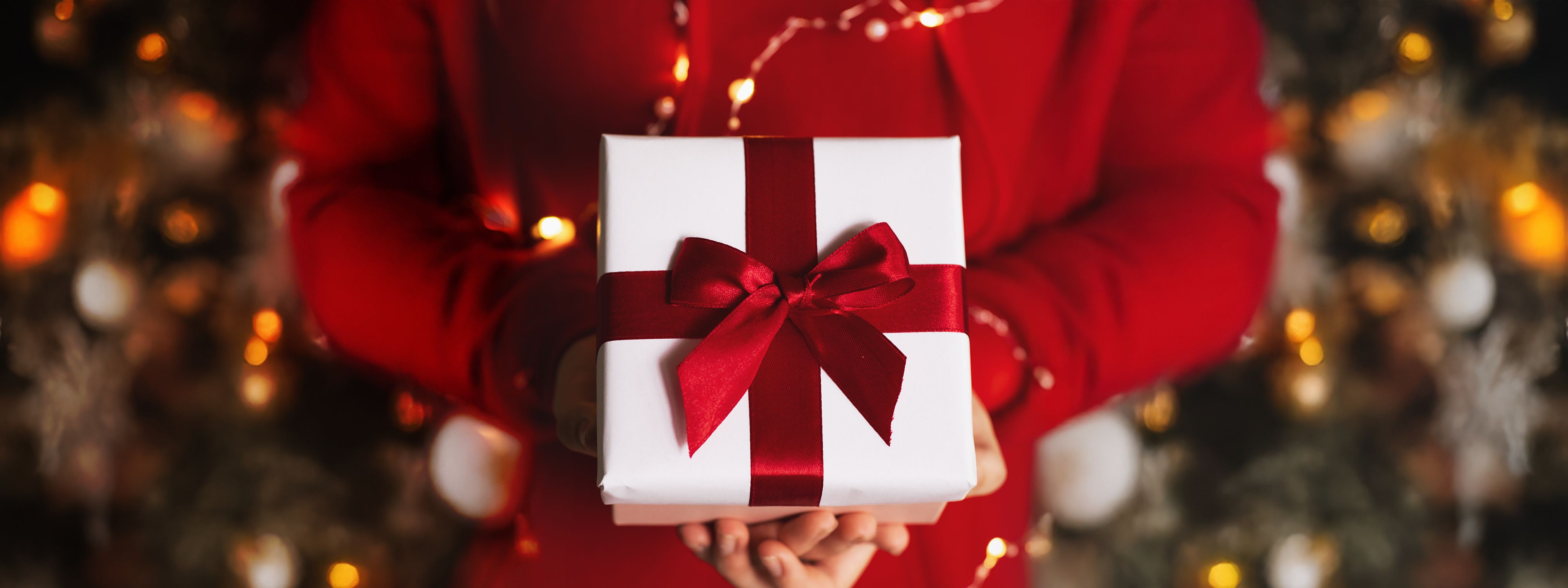 Fjord Club: Julegave – Minicruise til Stavanger med dag i land