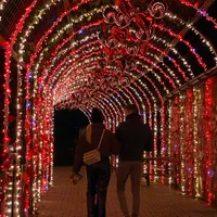 Par som går gjennom den opplyste hjertetunnelen. Foto.